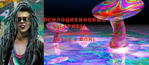 PSILOCYBIN Вяземский